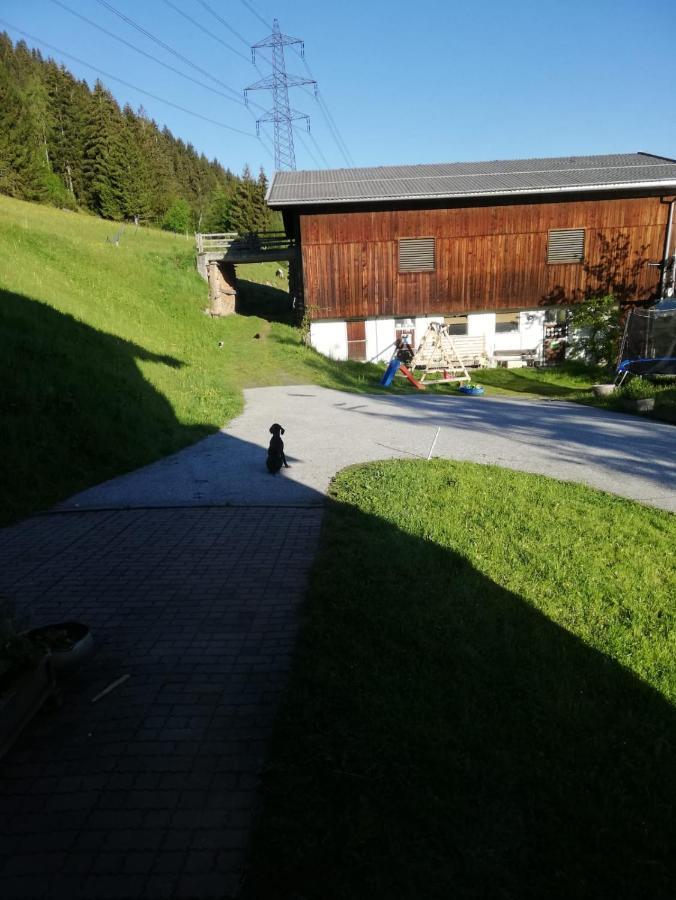 Aignerbauer Mittersill Lägenhet Exteriör bild
